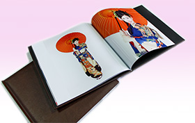 �v���V���X300