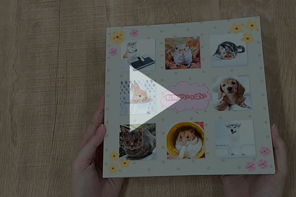 ソフトカバーM　動画サムネイル
